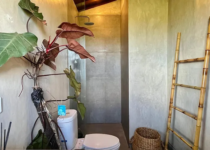 Modern Seseh House In Bali 別荘 *