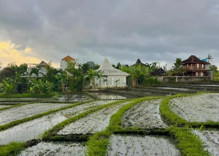 Modern Seseh House In Bali 別荘 Munggu