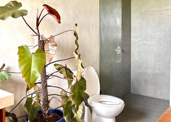 別荘 Modern Seseh House In Bali *